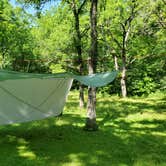 Review photo of Camp Glen Wendel Primitive Backcountry — Yellow River State Forest by Christopher S., July 9, 2020