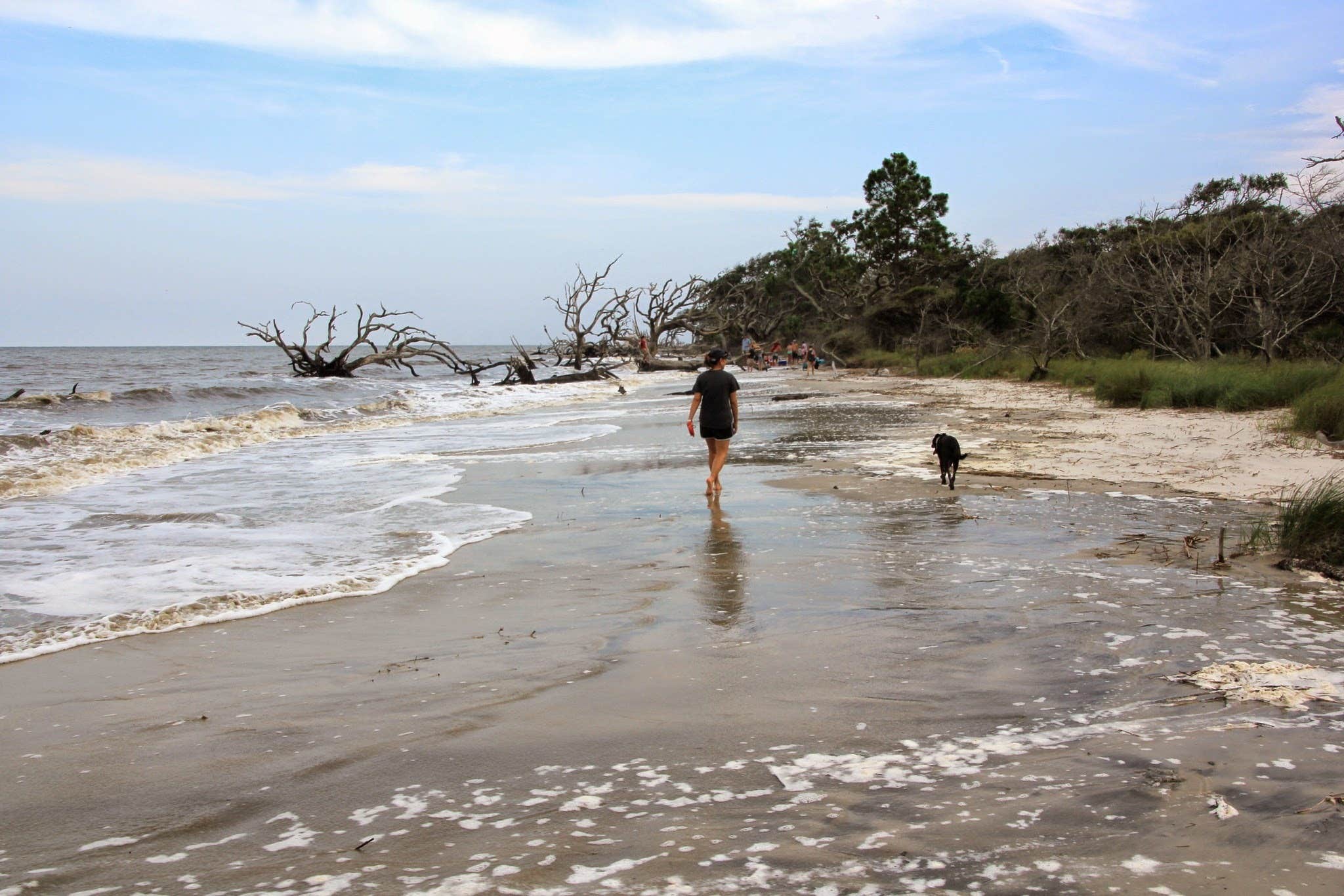 Camper submitted image from Jekyll Island Campground - 2