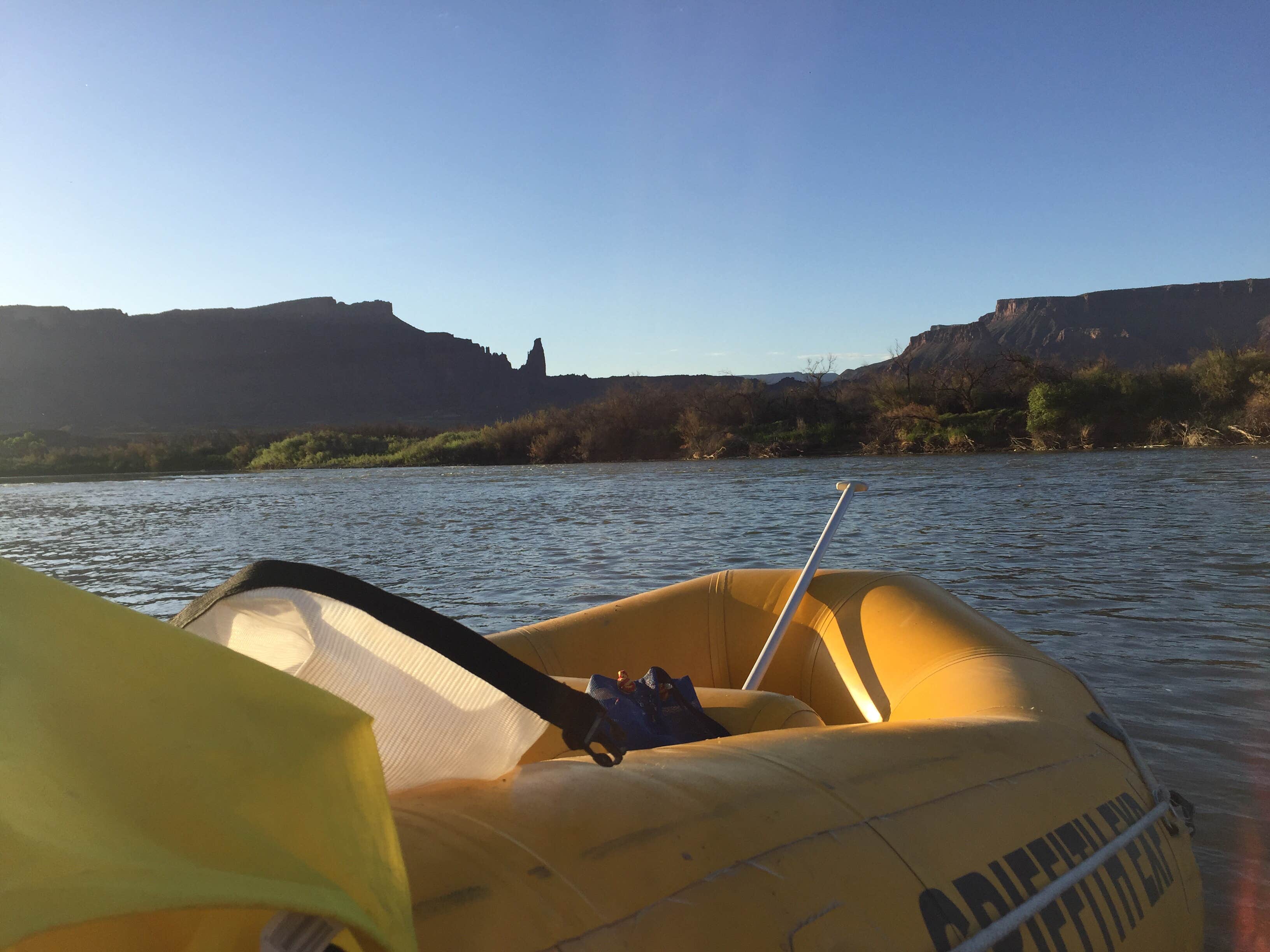 Camper submitted image from BLM Lower Onion Creek Camping Area - 4