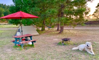 Jennifer B.'s photo of camping with pets at 5 Authentic Barn Campsites near Tumtum, WA