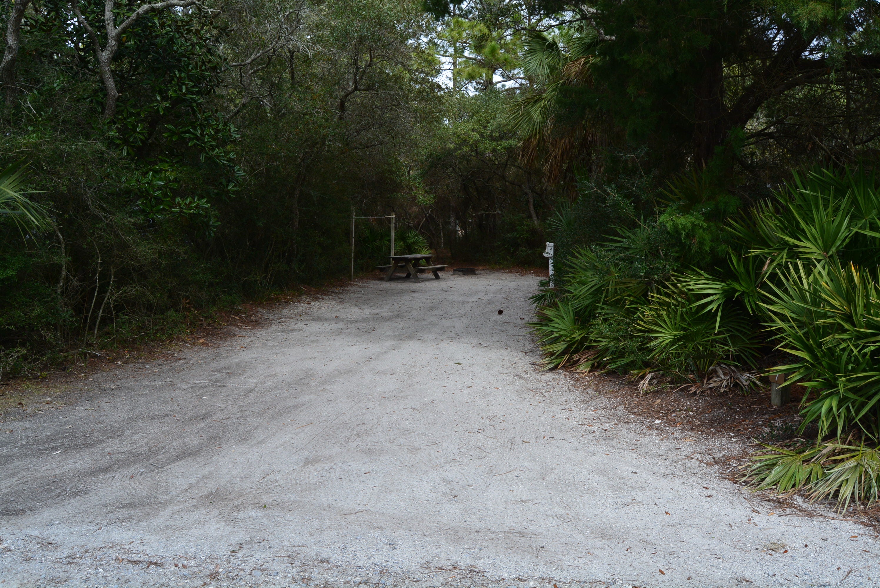 Camper submitted image from Grayton Beach State Park Campground - 5