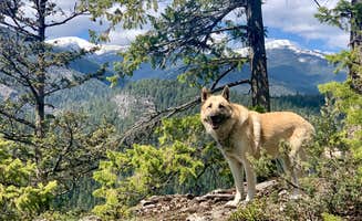 Jennifer B.'s photo of camping with pets at Mountain Refuge Ranch near Colville, WA