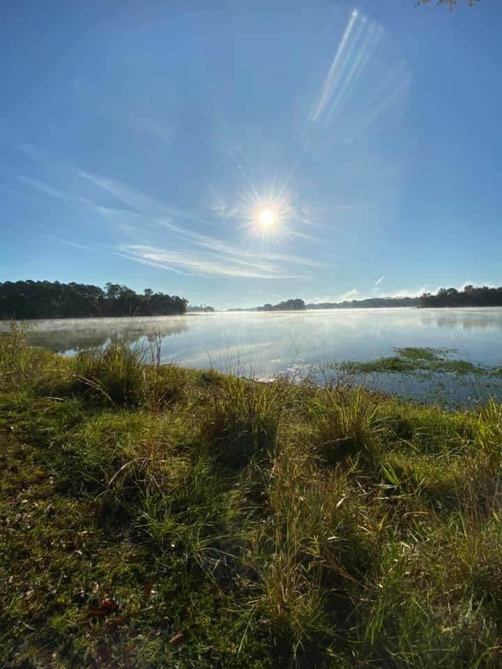 Camper submitted image from Lakepoint Resort State Park Campground - 4