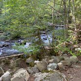 Review photo of Kachess Campground by Ben S., July 10, 2020