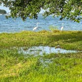 Review photo of Possum Kingdom State Park Campground by Mic R., July 10, 2020