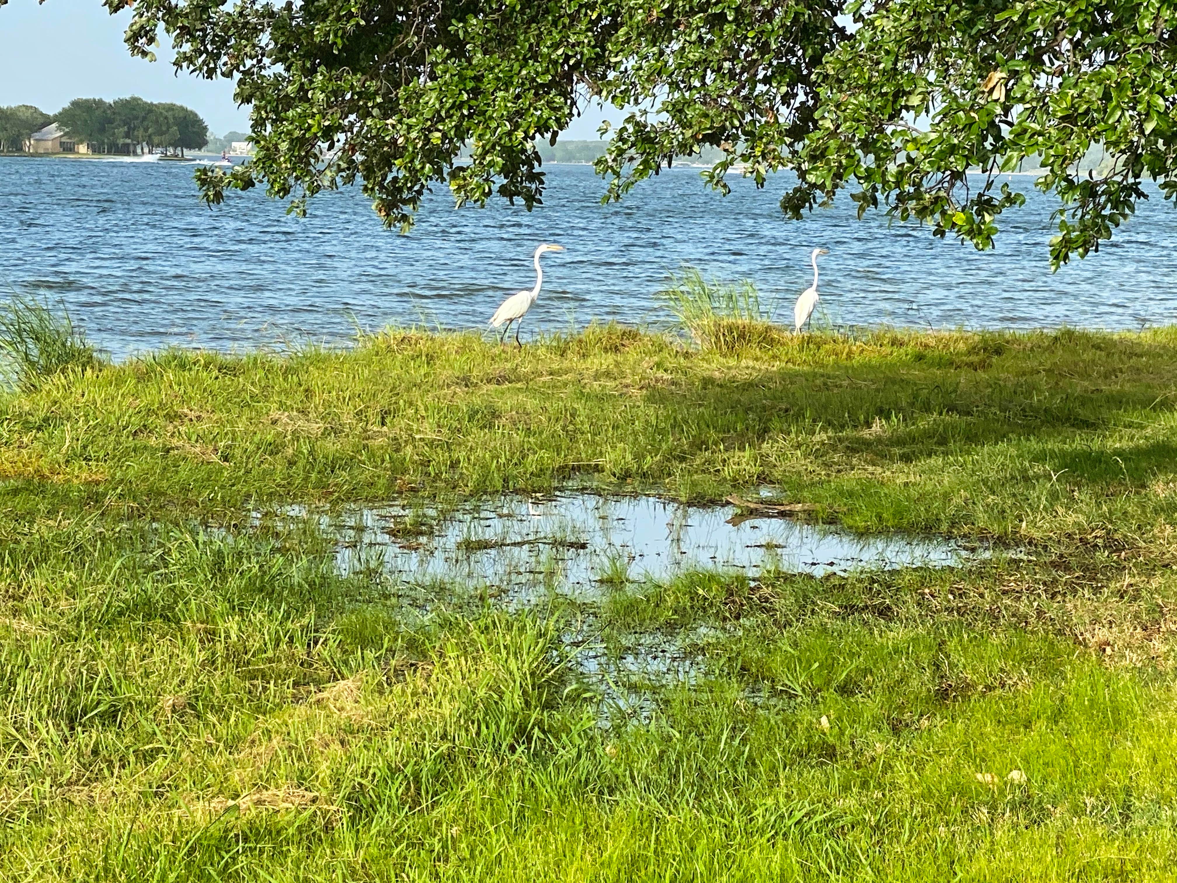 Camper submitted image from Possum Kingdom State Park Campground - 5