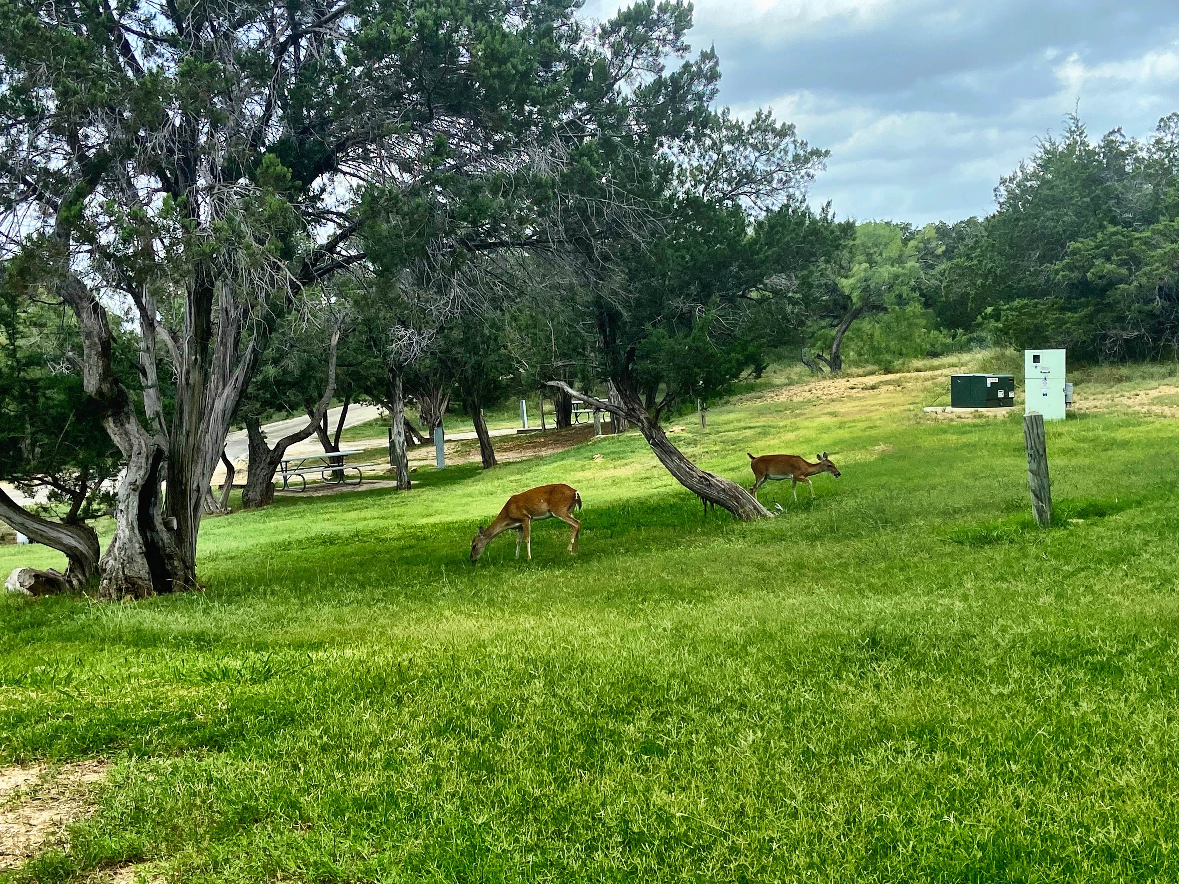 Camper-submitted photo at Possum Kingdom State Park Campground near Graford, TX