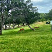 Review photo of Possum Kingdom State Park Campground by Mic R., July 10, 2020