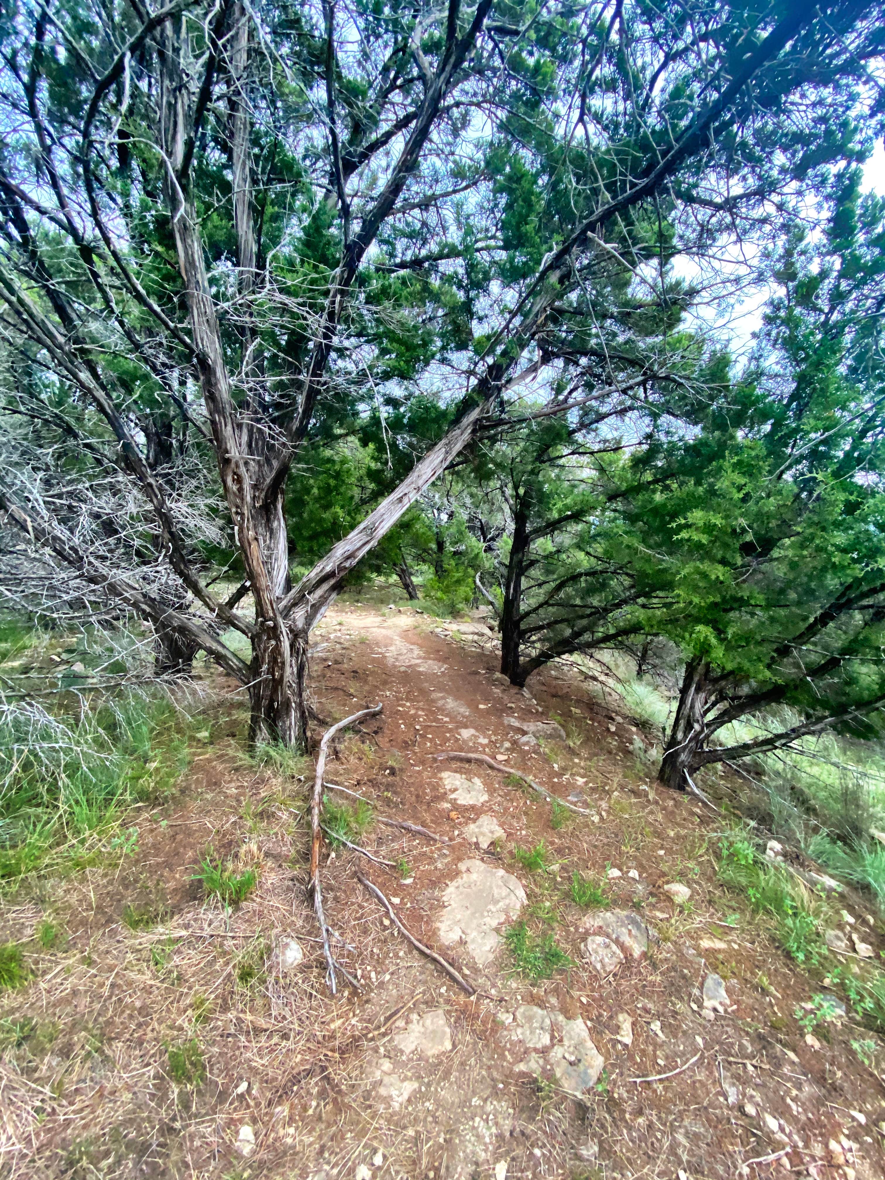 Camper-submitted photo at Possum Kingdom State Park Campground near Graford, TX