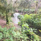 Review photo of Beverly Beach State Park Campground by Bjorn S., January 7, 2018