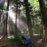 Review photo of Cape Lookout State Park Campground by Nicole  O., July 10, 2020