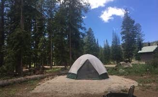 Dorinda H.'s photo at Little Bear Campground near Mesa, CO