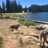 Review photo of Little Bear Campground by Dorinda H., July 10, 2020