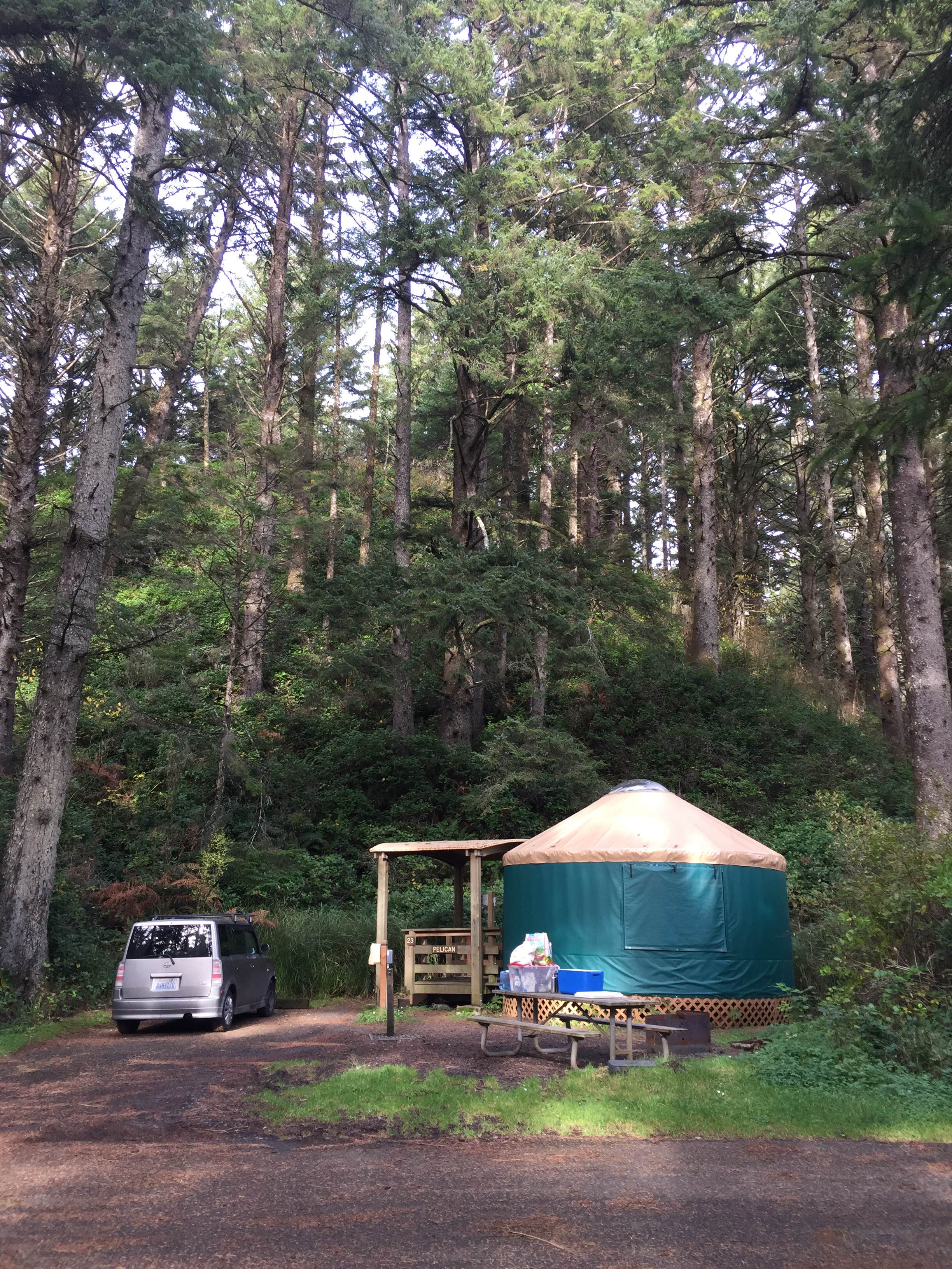 Bjorn S.'s photo at Beverly Beach State Park Campground near Toledo, OR