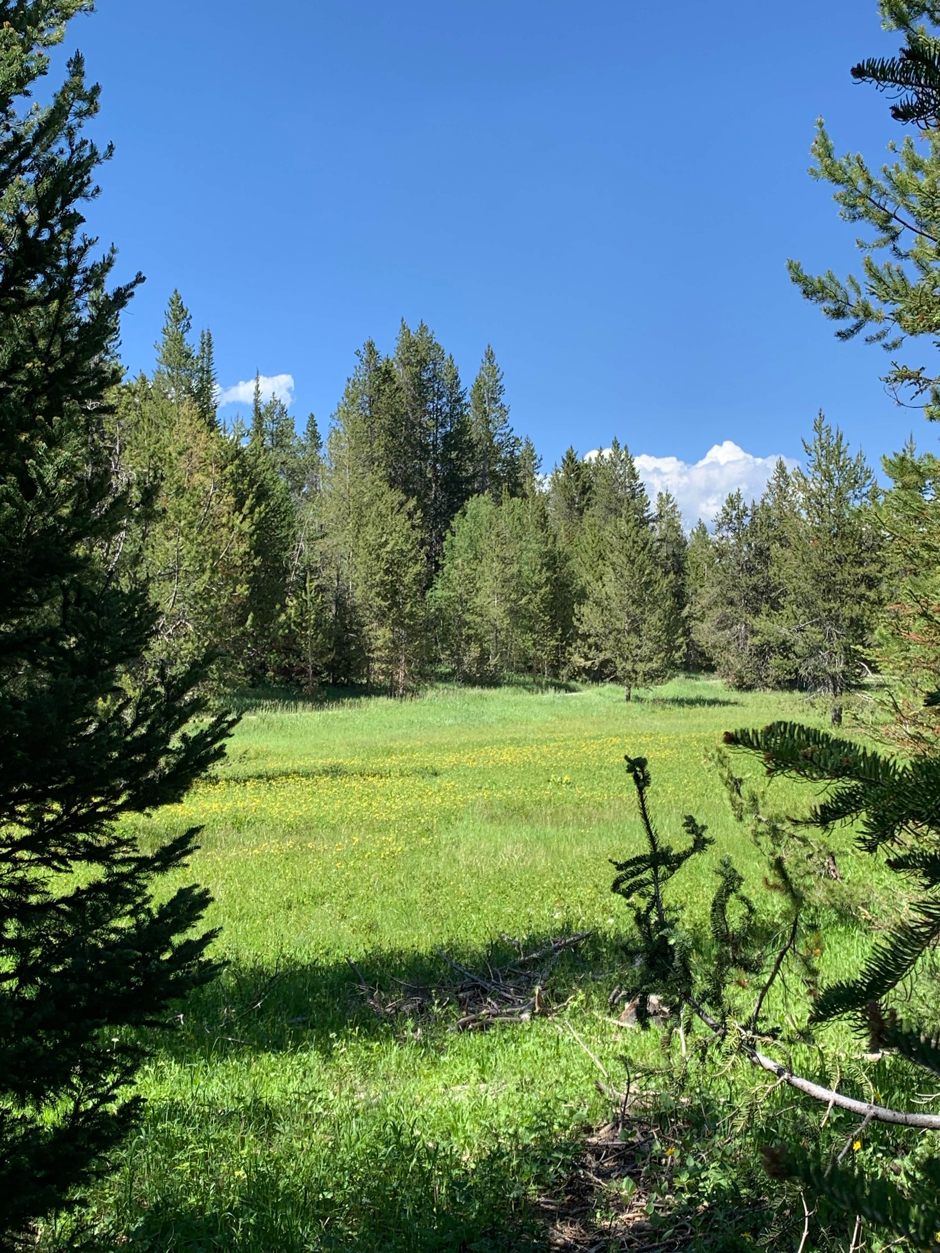 Camper submitted image from Summit View Campground - 2