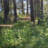 Review photo of Summit View Campground by P H., July 10, 2020