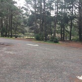 Review photo of Beverly Beach State Park Campground by Bjorn S., January 7, 2018