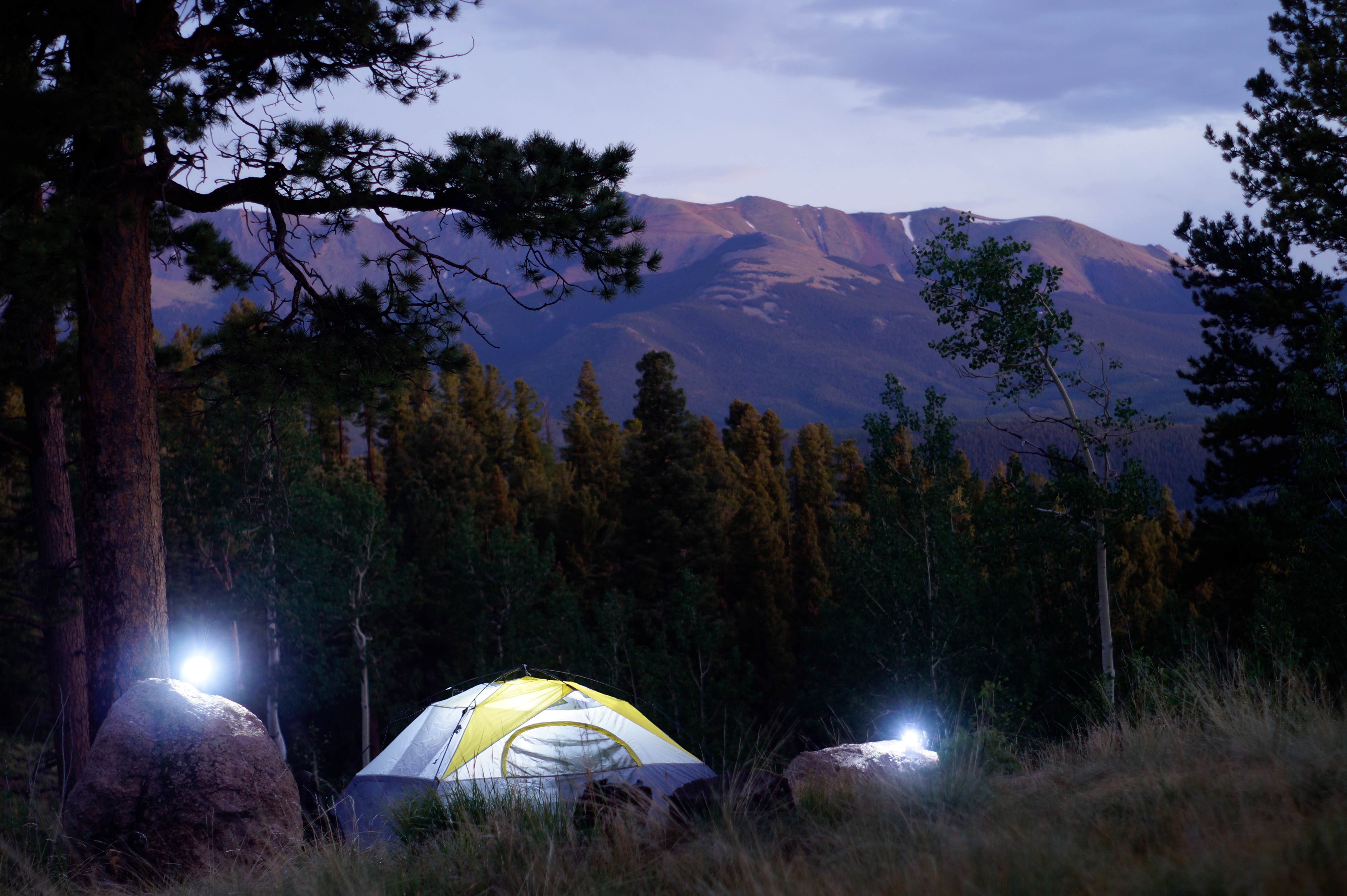 Blanche K.'s photo of a dispersed camping area at Rampart Reservoir Recreation Area near Palmer Lake, CO