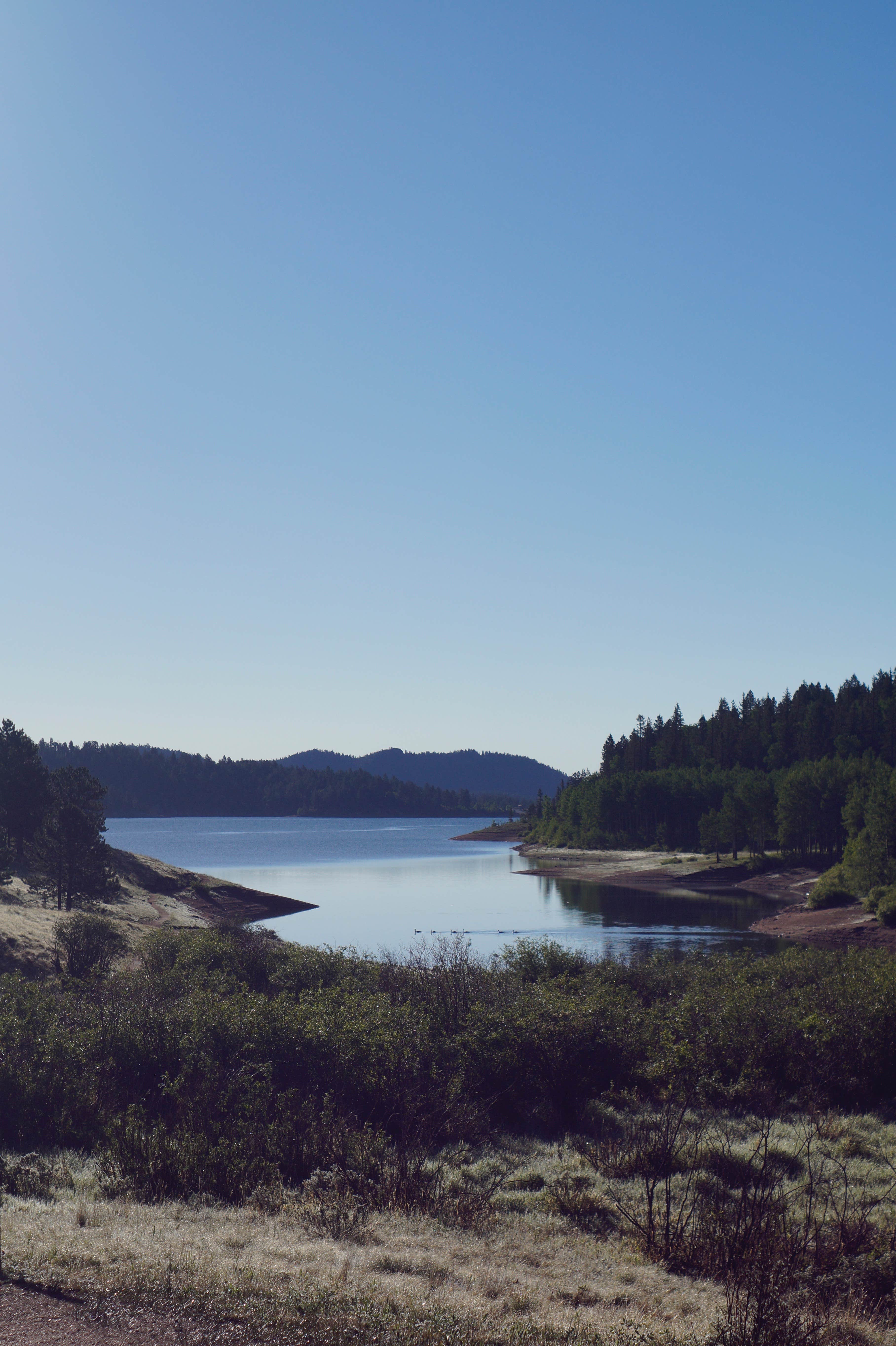 Blanche K.'s photo of a dispersed camping area at Rampart Reservoir Recreation Area near Manitou Springs, CO