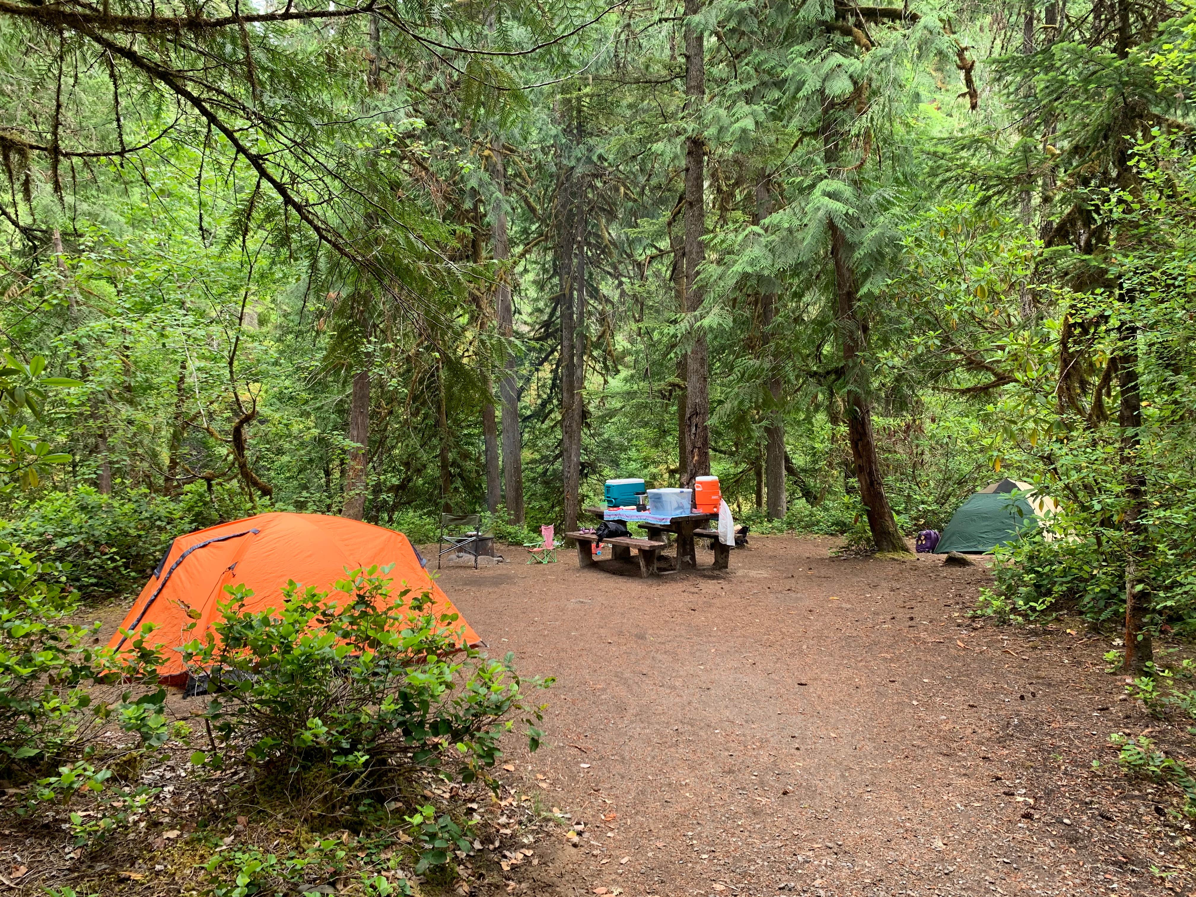 Ria G.'s photo at Whispering Falls Campground near Idanha, OR