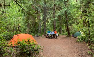 Ria G.'s photo at Whispering Falls Campground near Idanha, OR