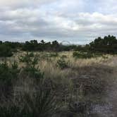 Review photo of Beverly Beach State Park Campground by Bjorn S., January 7, 2018