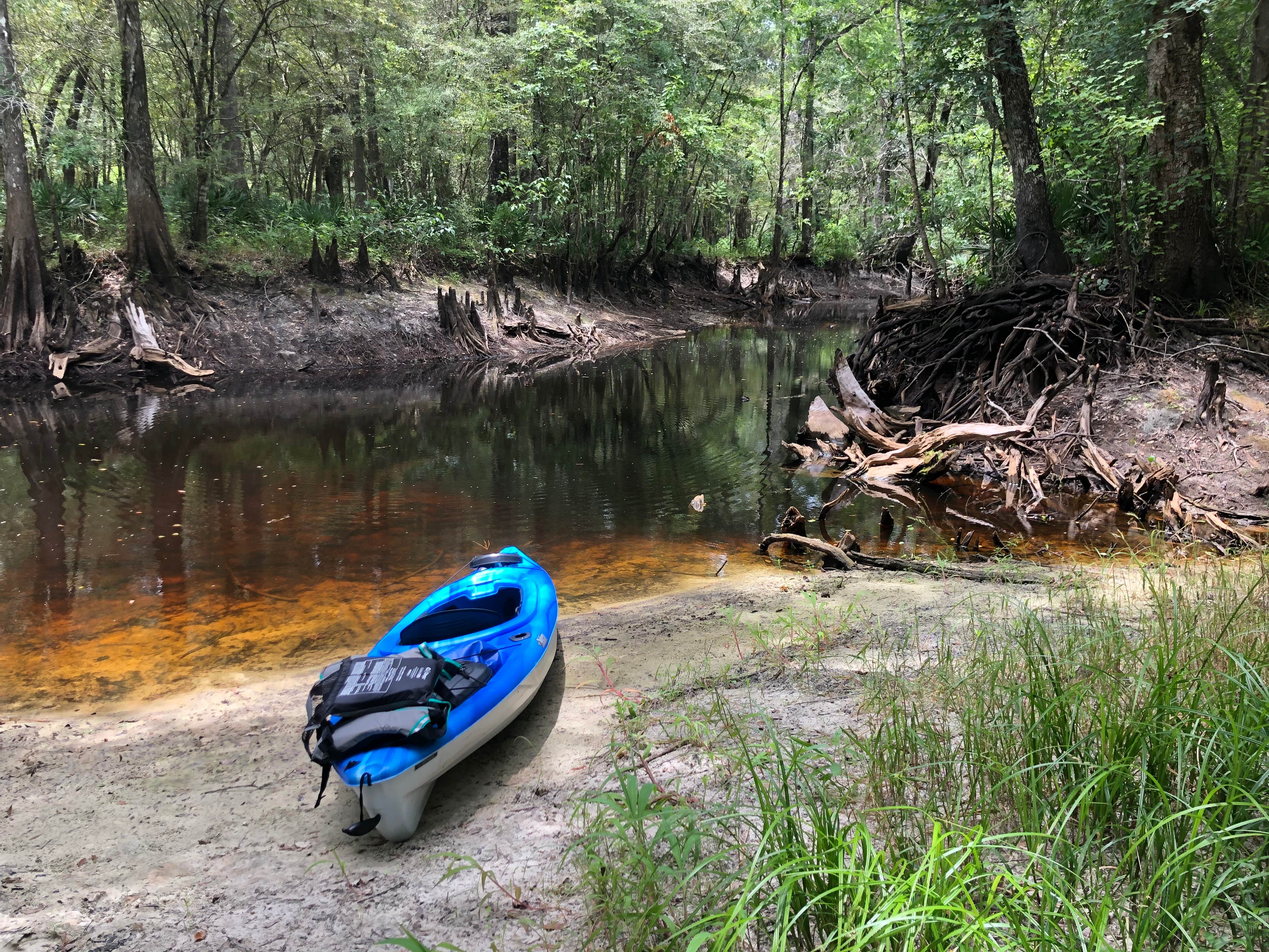 Camper-submitted photo at Withlacoochee River Park near Zephyrhills, FL