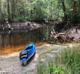 Camper-submitted photo from Withlacoochee River Park