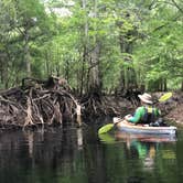 Review photo of Withlacoochee River Park by Joanne W., July 10, 2020