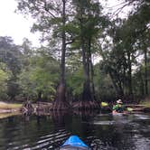 Review photo of Withlacoochee River Park by Joanne W., July 10, 2020