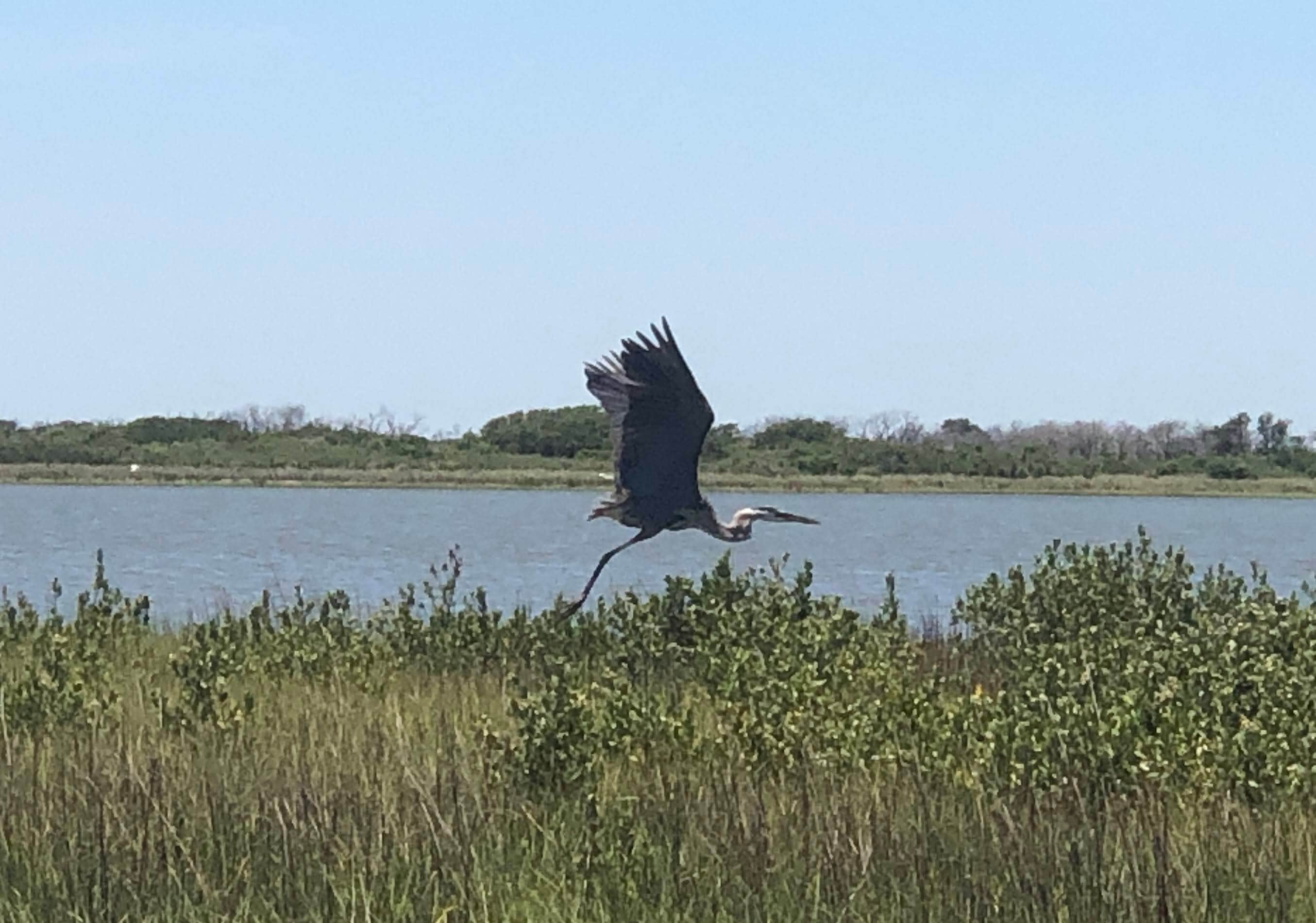Camper-submitted photo at Beacon 44 RV Park near Austwell, TX