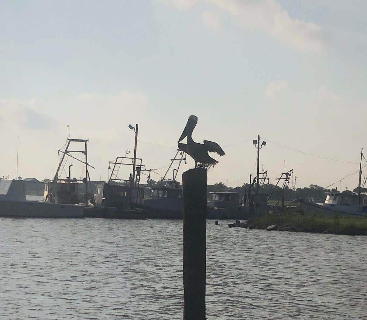 Camper-submitted photo at Beacon 44 RV Park near Austwell, TX