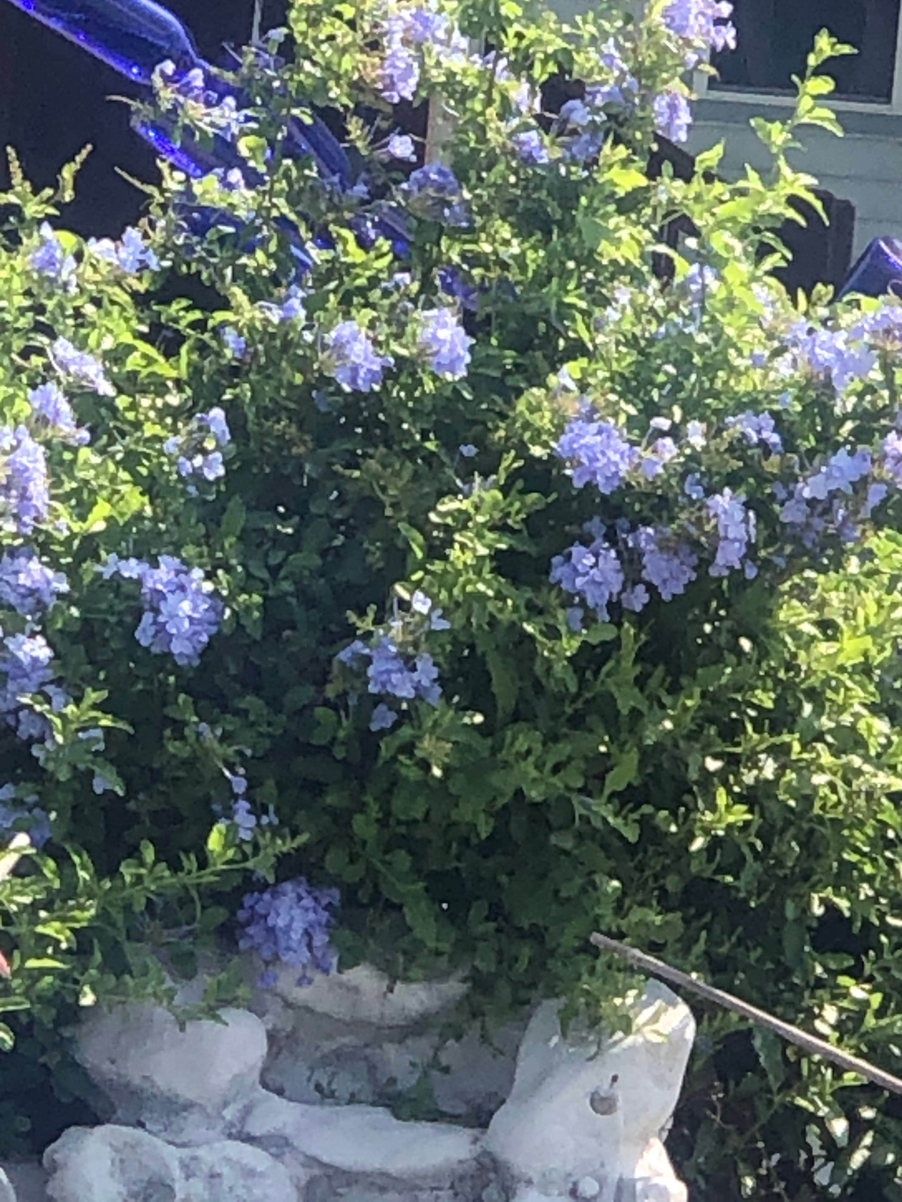 Camper-submitted photo at Beacon 44 RV Park near Austwell, TX