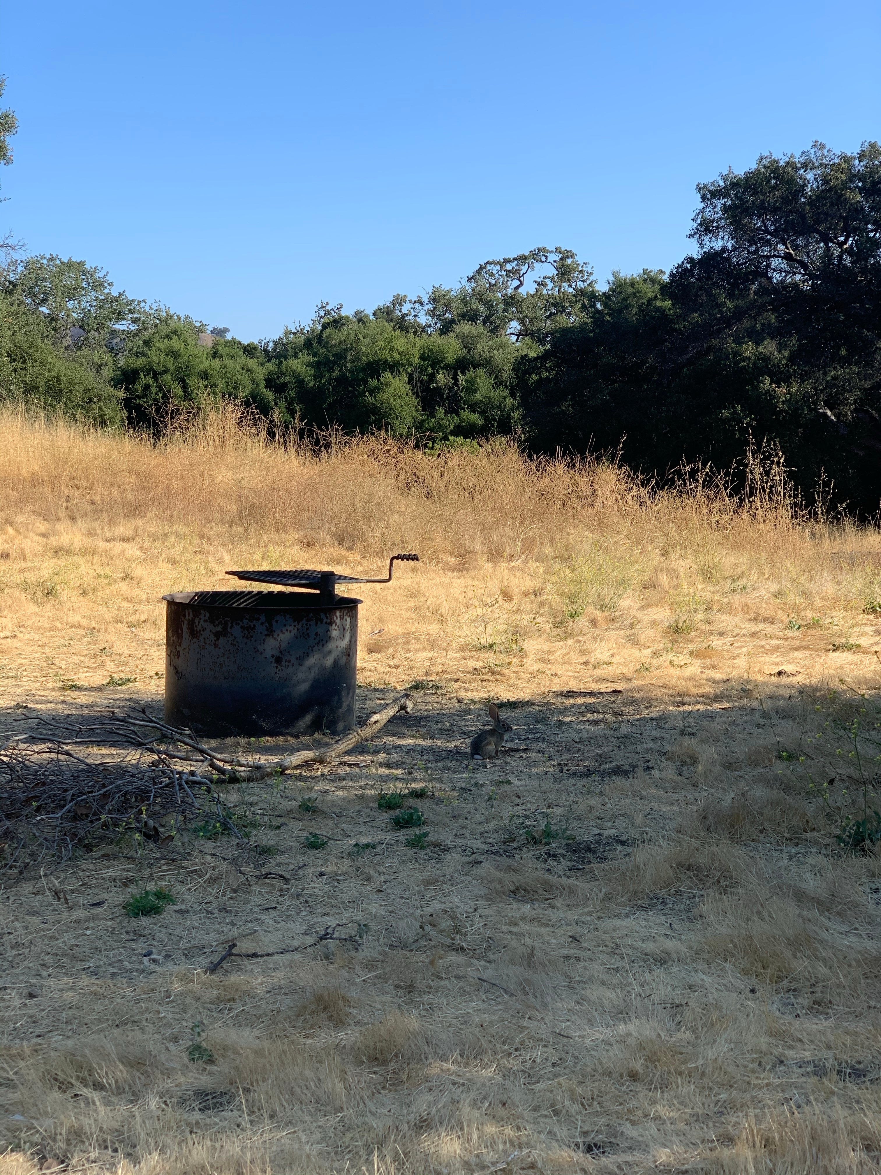 Camper submitted image from Malibu Creek State Park Campground - 5