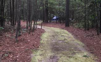 Joe L.'s photo of tent camping at Chalk Banks — Lumber River State Park near Wadesboro, NC