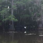 Review photo of Caddo Lake State Park Campground by Monica C., July 10, 2020