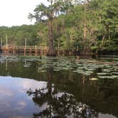 Review photo of Caddo Lake State Park Campground by Monica C., July 10, 2020