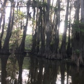 Review photo of Caddo Lake State Park Campground by Monica C., July 10, 2020