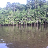 Review photo of Caddo Lake State Park Campground by Monica C., July 10, 2020