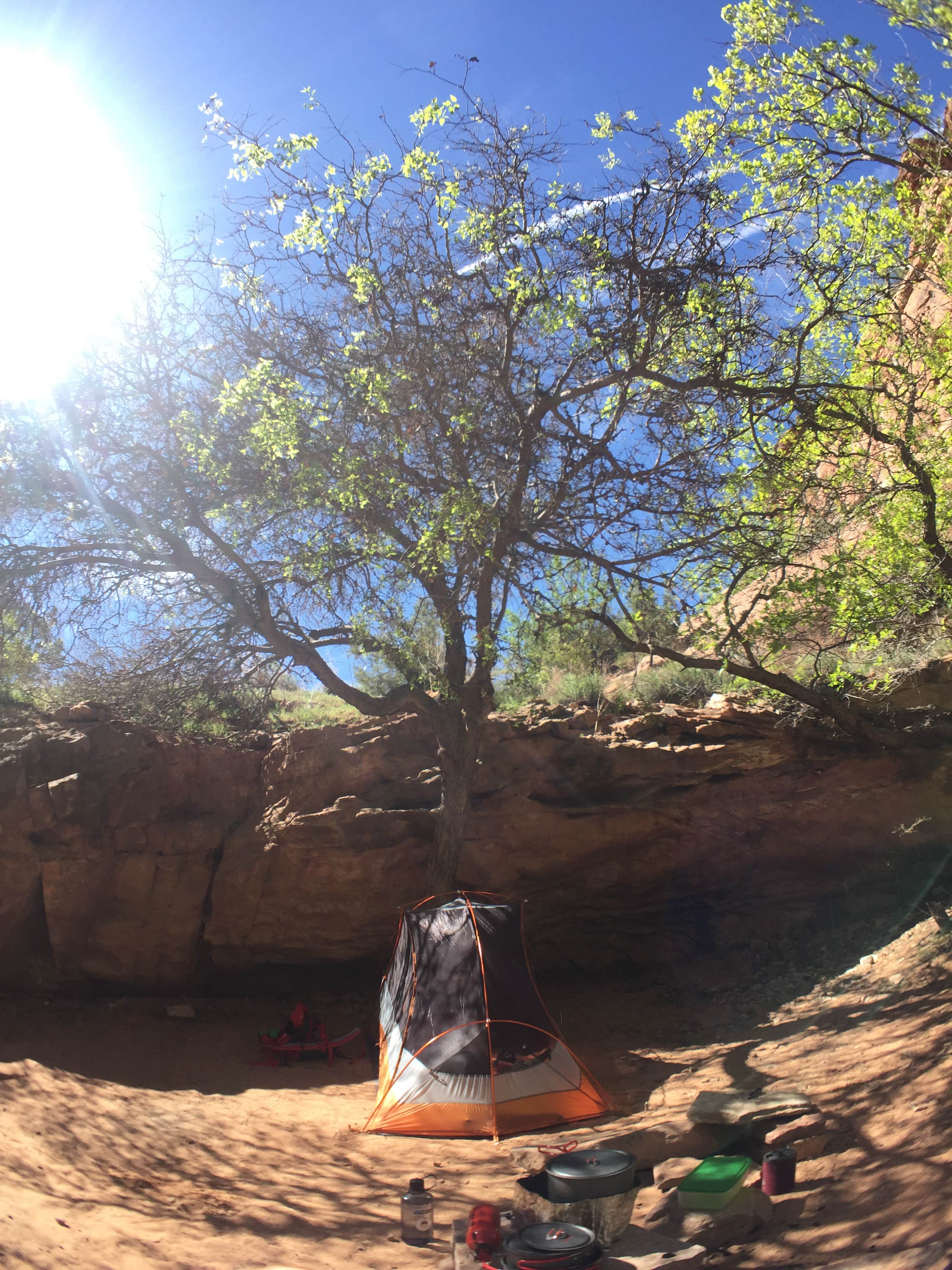 Camper submitted image from Moonflower Canyon Group Site - 3