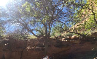 Ryan F.'s photo at Moonflower Canyon Group Site near Moab, UT