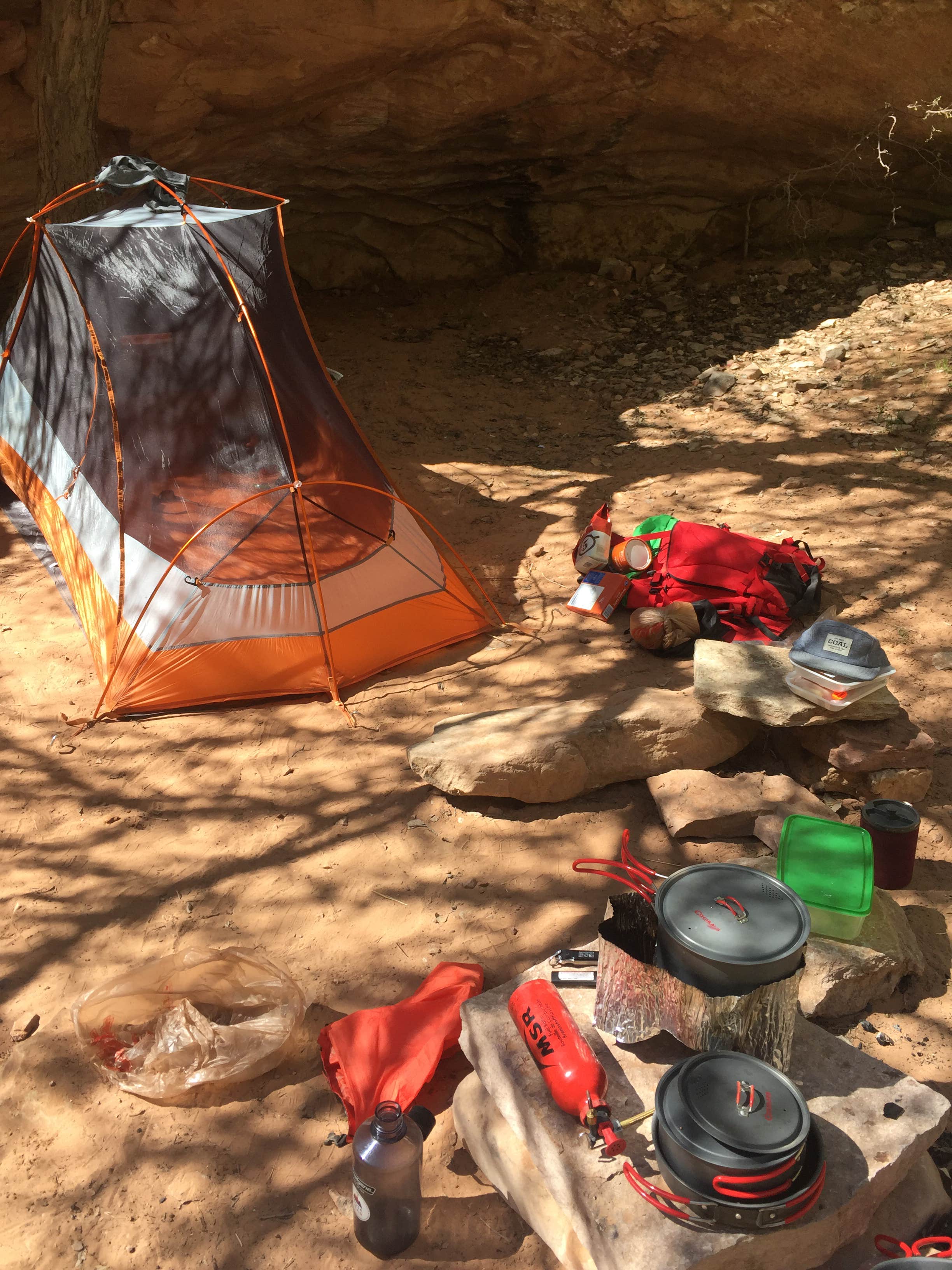 Camper submitted image from Moonflower Canyon Group Site - 4