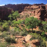 Review photo of Moonflower Canyon Group Site by Ryan F., January 8, 2018