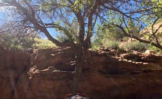 Ryan F.'s photo of tent camping at Moonflower Canyon Group Site near Castle Valley, UT