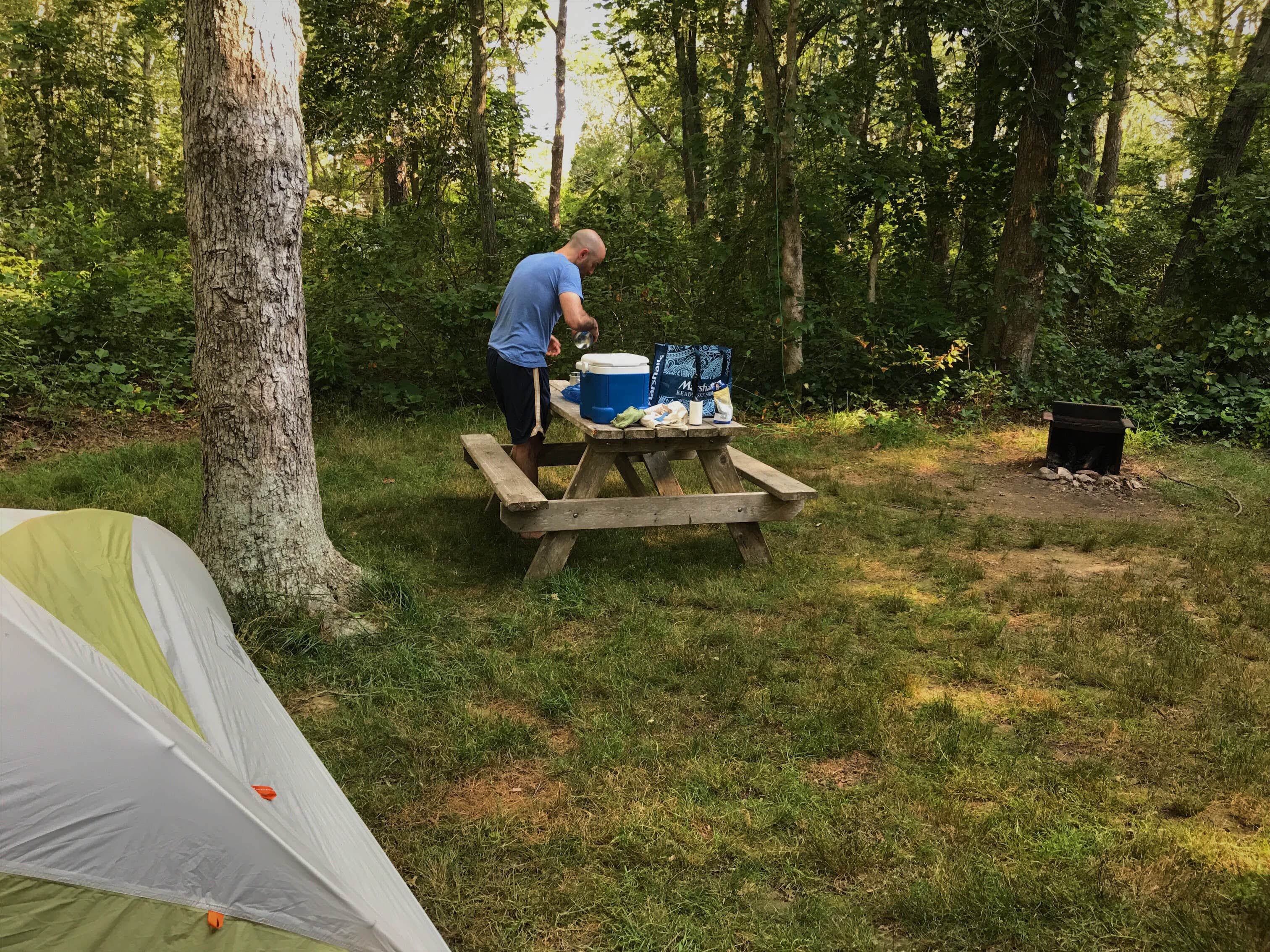 Camper submitted image from Shawme Crowell State Forest Campground - 4