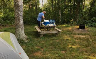 Gena F.'s photo at Shawme Crowell State Forest Campground near Sagamore Beach, MA