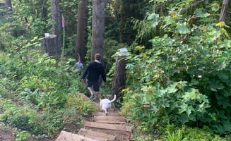 Kim L.'s photo of camping with pets at Camp Lindberg 21+ near Scappoose, OR