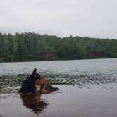 Review photo of Cuyuna Country State Rec Area by Dave T., July 11, 2020