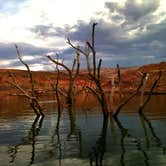 Review photo of Bullfrog RV & Campground — Glen Canyon National Recreation Area by Julia B., July 3, 2016