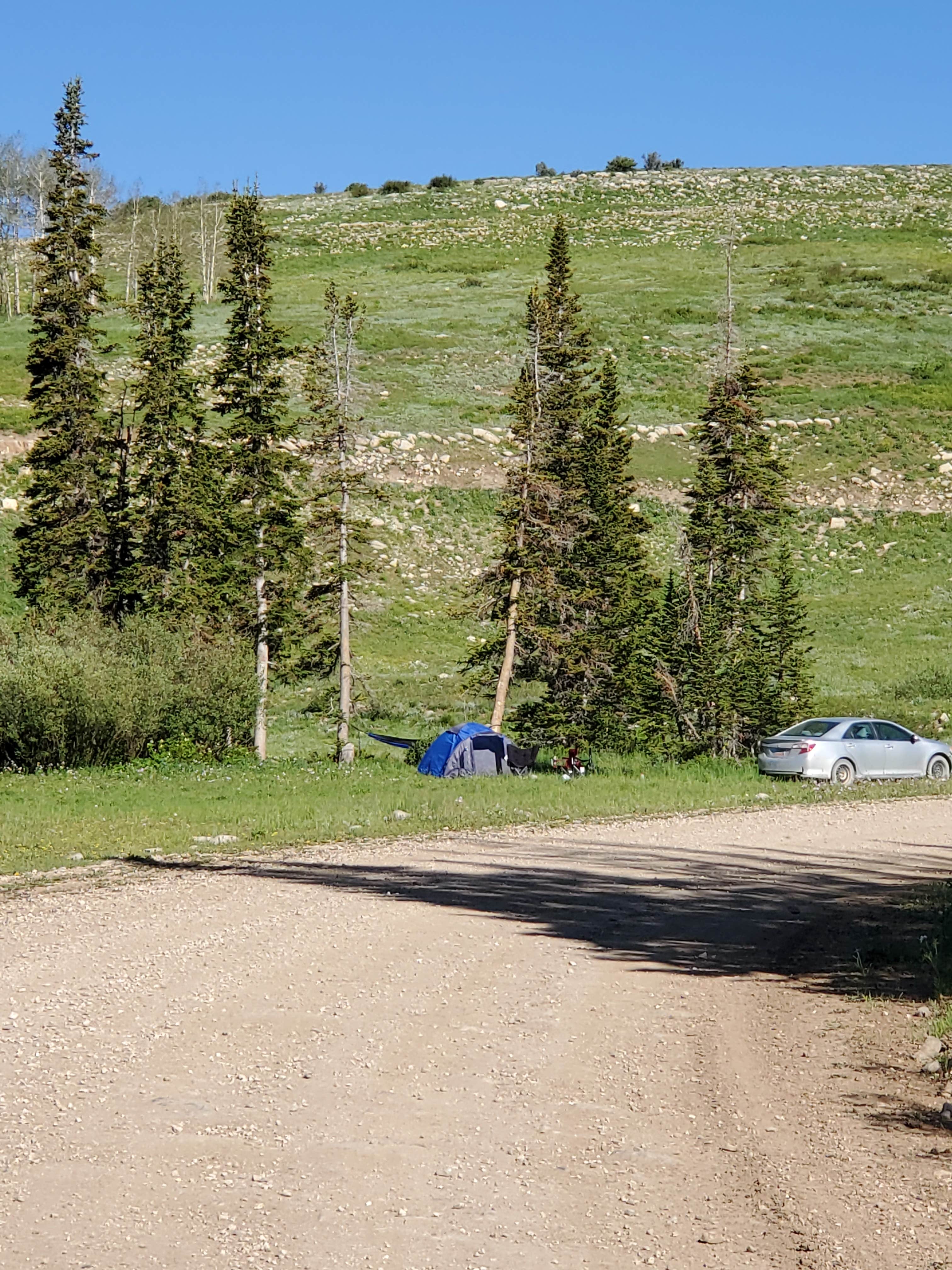 Abigail T.'s photo of a dispersed camping area at Ephraim Manti Dispersed near Aurora, UT